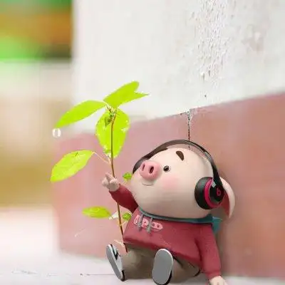 2020猪年微信头像 卡通猪头像呆萌高清无水印12_可爱美图