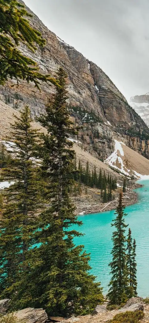 美丽大自然风景8k超清蓝光手机竖屏壁纸