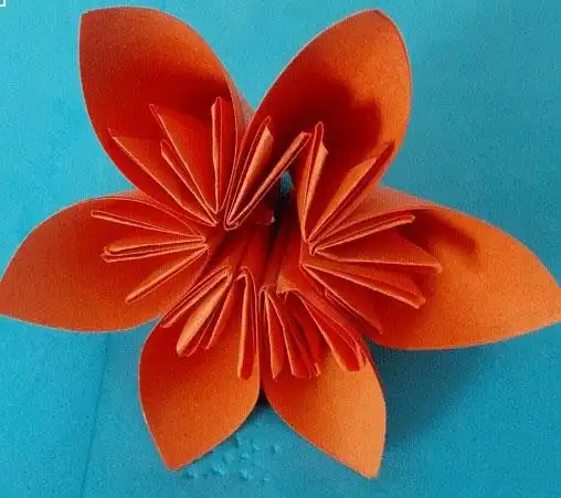 纸花的折法图解使用彩纸简单制作纸花的步骤图解