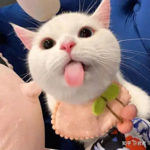 微信头像图片伤感|好看的头像可爱 呆萌|2021清爽的微信头像|2021最火