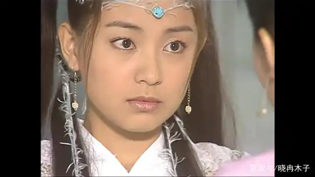 贾静雯的赵敏,高圆圆的周芷若,陈紫函的殷离,陈秀丽的小昭,甚至连金花