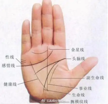 手有"三角纹"的人,绝对是人中龙凤,一辈子不差钱