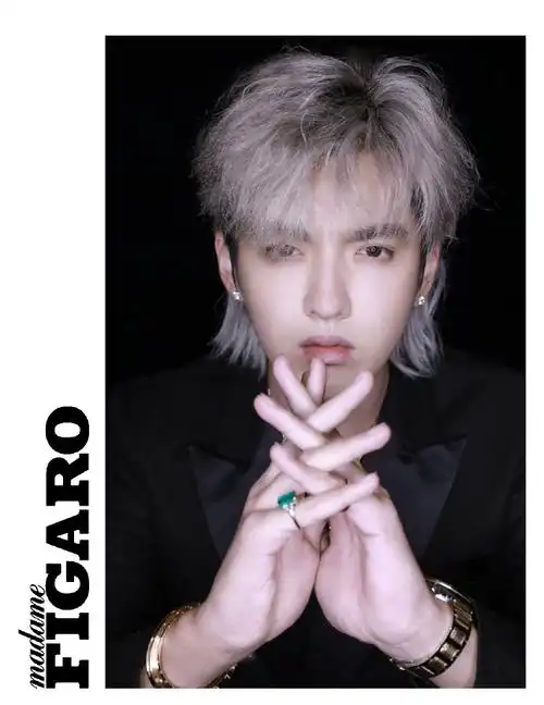 figaro衣橱##男爱豆狼尾鲻鱼发型##吴亦凡[超话]