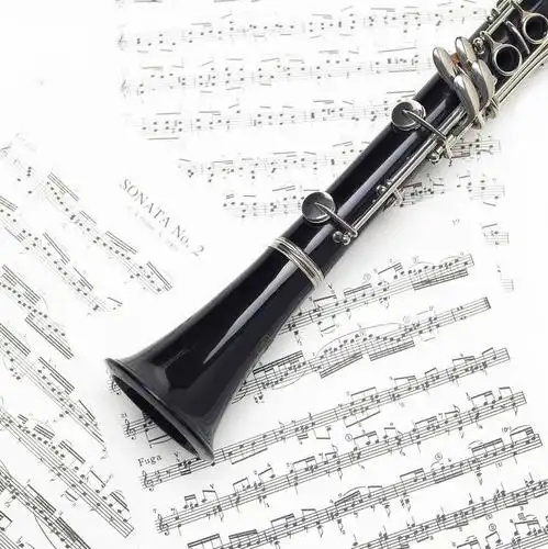 俯视,室内,特写,白天,白色背景,静物,书籍,一根,吹奏乐器,单簧管,黑管