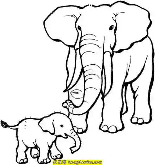 世界上最大的陆地动物!12张大象妈妈和大象宝宝涂色简笔画