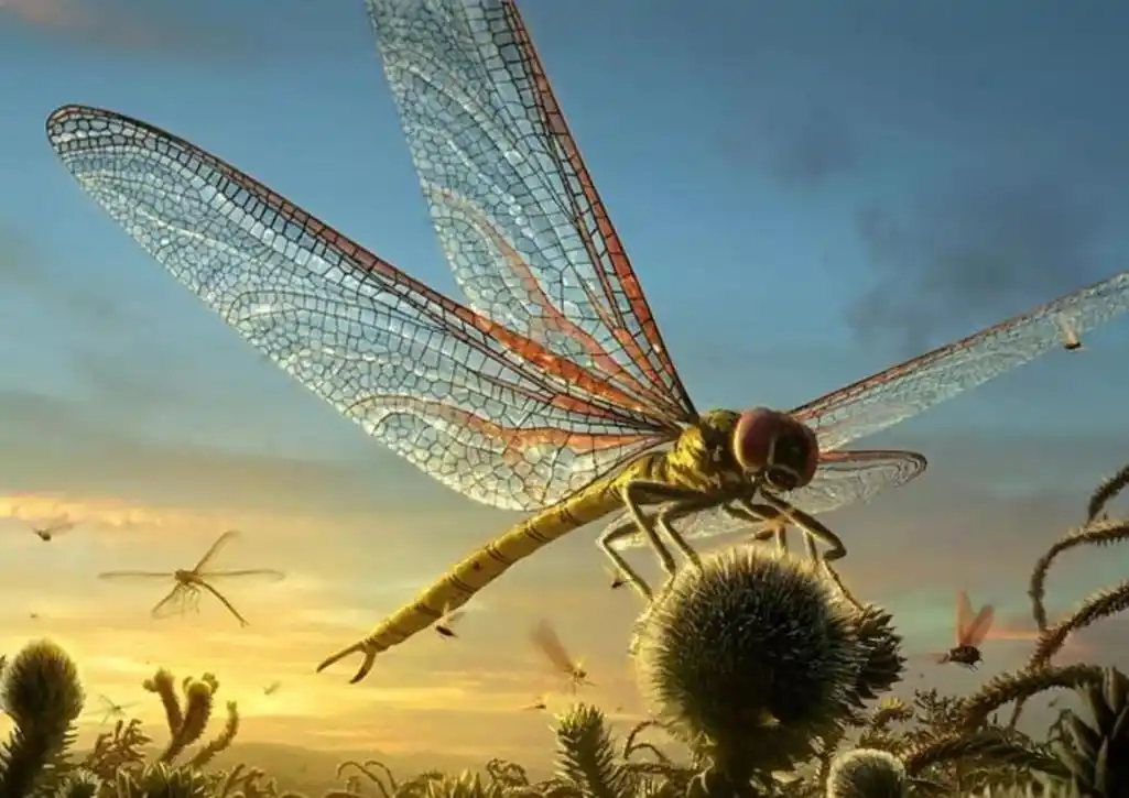 巨型蜻蜓(将近1米的大蜻蜓,地球上已知的有史以来最大的昆虫)