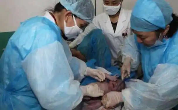 流程!找个女人帮忙生孩子要多少钱"一样甜蜜"-第2张图片-智库博客