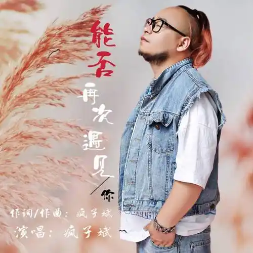 华语男歌手疯子斌最新伤感情歌《能否再次遇见你》火爆全网_歌曲_亲爱