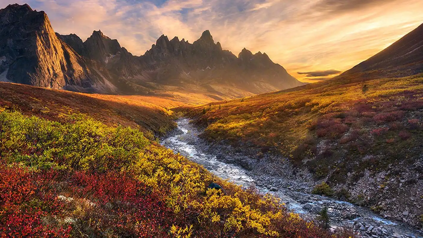 绿色护眼自然美景图片桌面壁纸