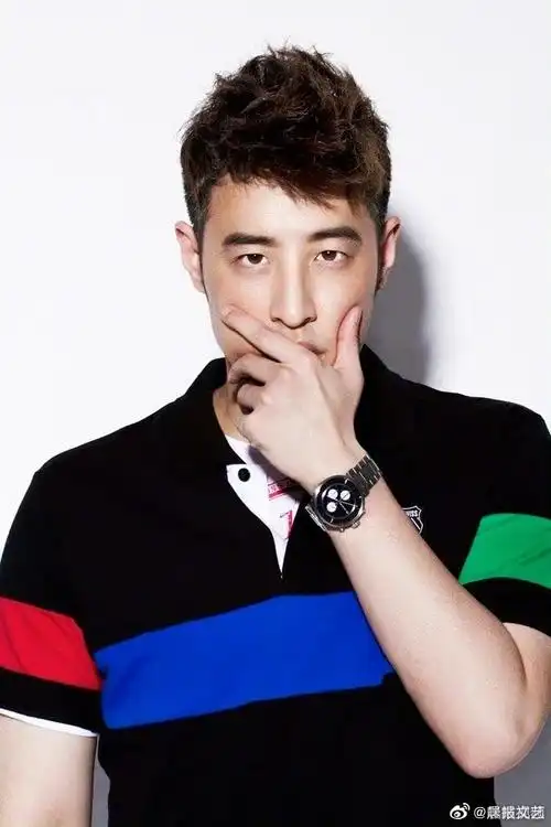 懂潘玮柏为什么叫潘帅了