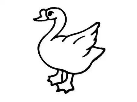 鹅动物简笔画图色