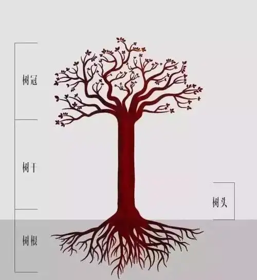 涨知识什么是小叶紫檀树头料批木网