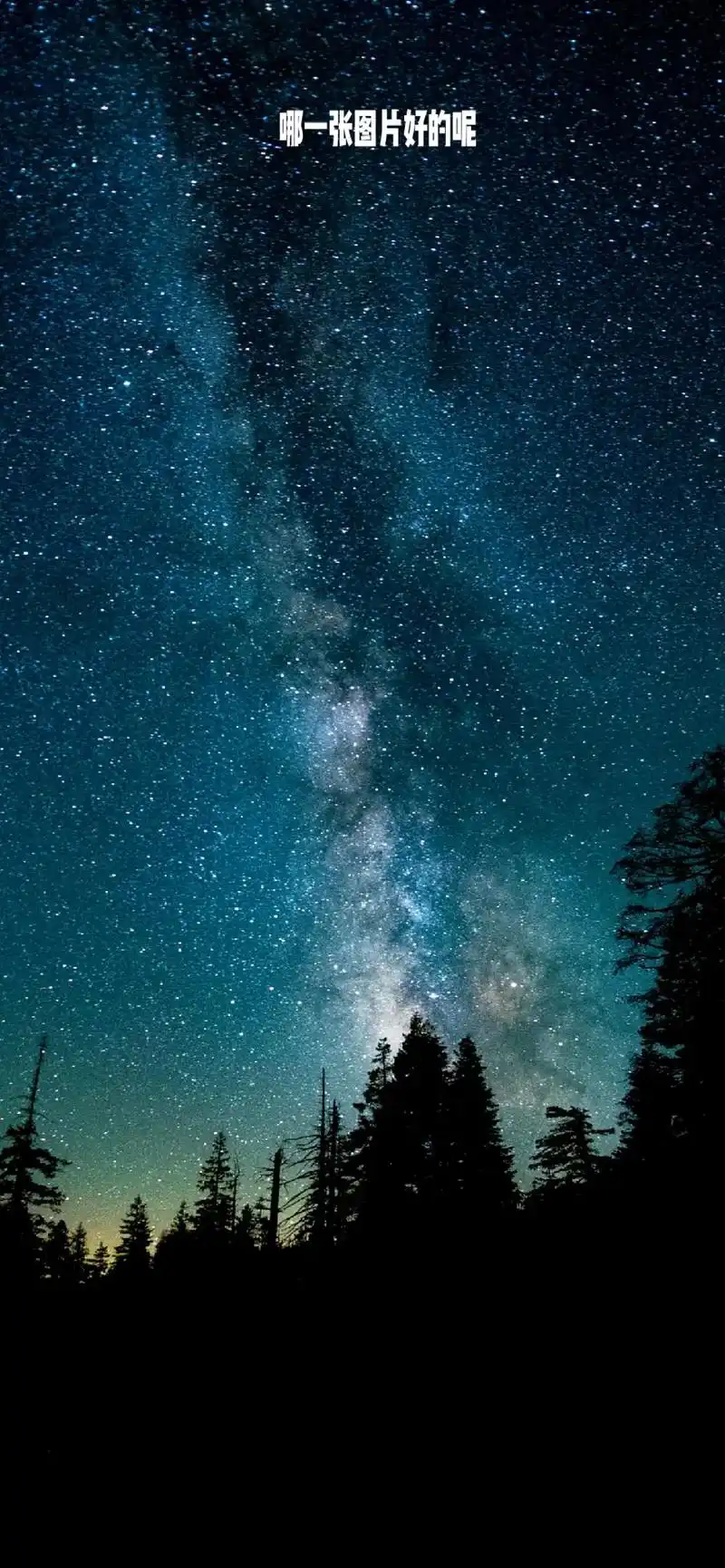 每一张照片都是满满的回忆 #平论区里见 - 抖音