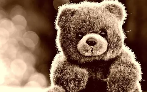 壁纸 毛茸的玩具,玩具熊 2880x1800 hd 高清壁纸, 图片, 照片
