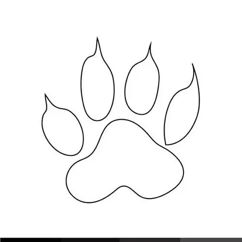 动物脚印图片_全景网