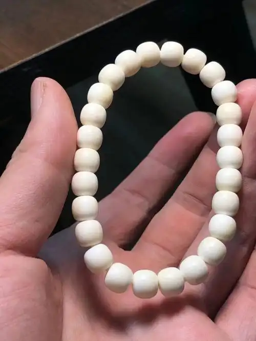 5号猪牙单圈8x73