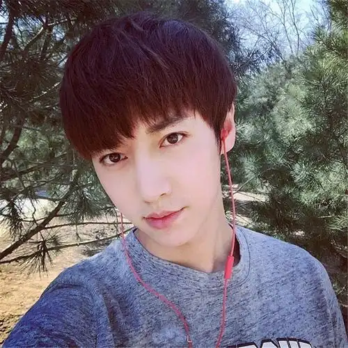 韩版鹿晗同款男生假发男士帅气学生短发男发蓬松逼真假发齐碎刘海