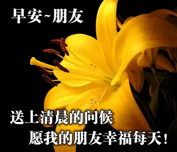 2020星期五清晨早安温馨问候语集锦早上好鲜花漂亮问候语图片