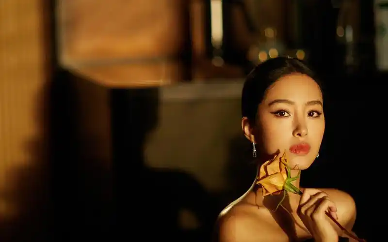 杨采钰优雅性感写真图片桌面壁纸