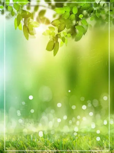 绿色唯美绿叶风景psd背景素材