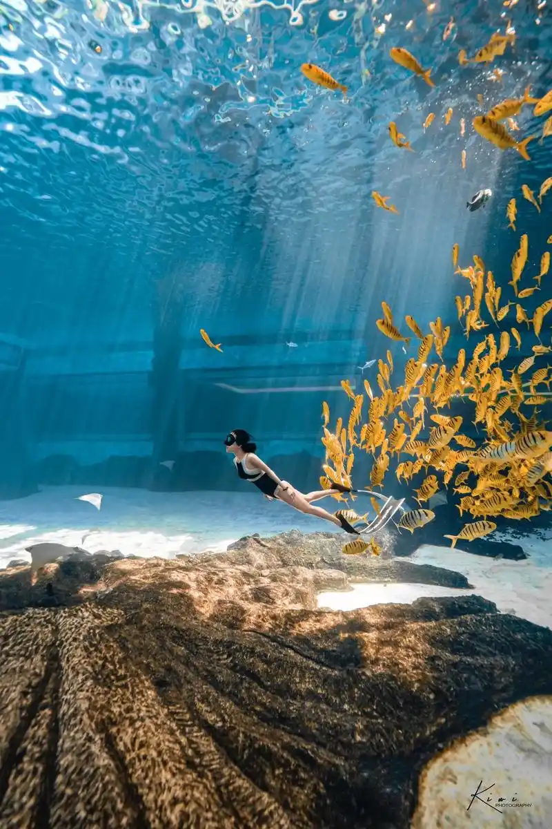 自由潜水 #水下摄影 #潜水女孩 # - 抖音