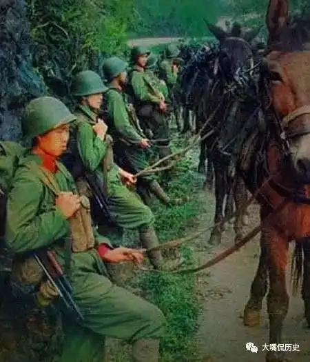 中国军魂真实对越自卫反击战高清彩照