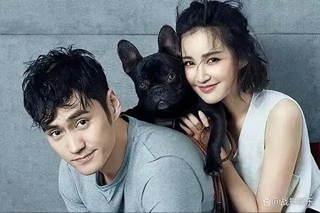 张歆艺的前夫杨树鹏前妻让我恶心前妻的老公是我的好兄弟