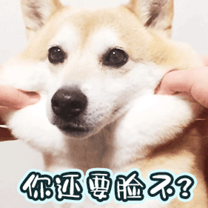 你还要脸不qq表情包搞笑图片表情