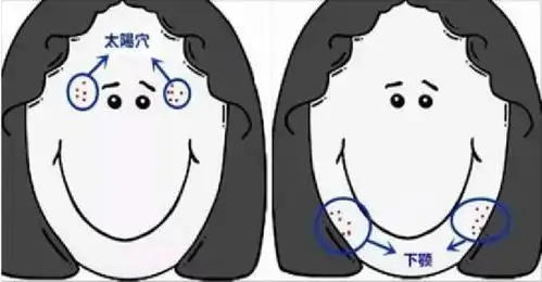 人的下颚在哪个位置?