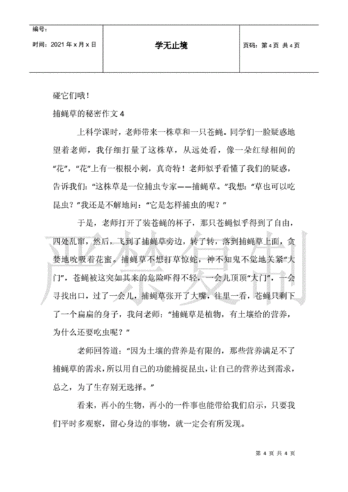 捕蝇草的秘密作文.docx 4页