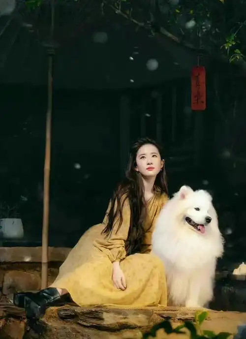 刘亦菲在国外亮相把人美翻!洛杉矶被偶遇,只靠背影就惊艳了大家