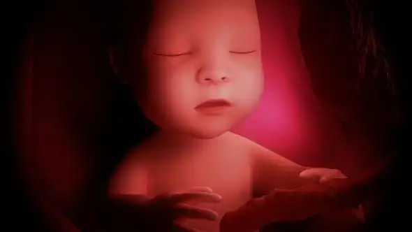 有的孕妇在怀孕早期,也就是怀孕第二个月和第三个月开始感觉到胎儿