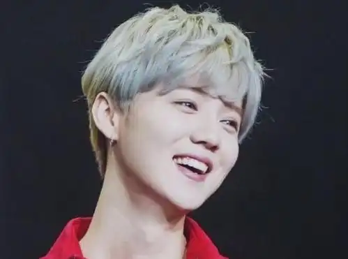 鹿晗的笑容实在是太可爱了,瞬间便让人失去了抵抗力!