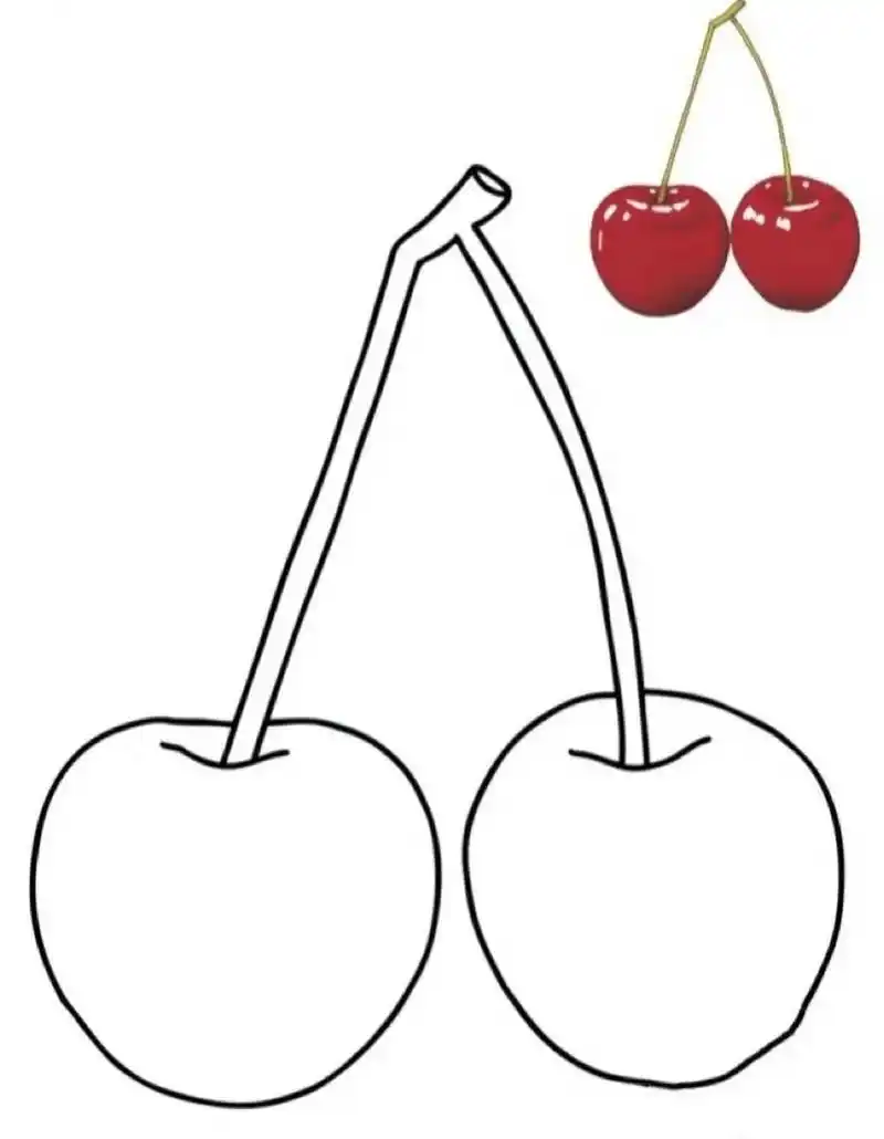 幼儿园水果&水果简笔画   水果简笔画