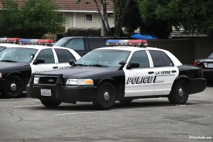 美国的警车都有什么型号?