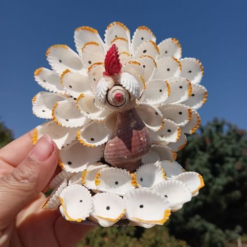 约12cm高孔雀 贝壳diy工艺品地中海风格饰品造景送礼客厅摆件