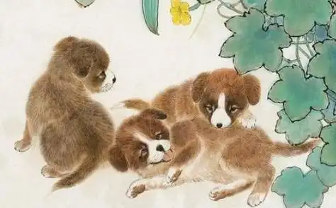 94年属狗男与什么属相相配