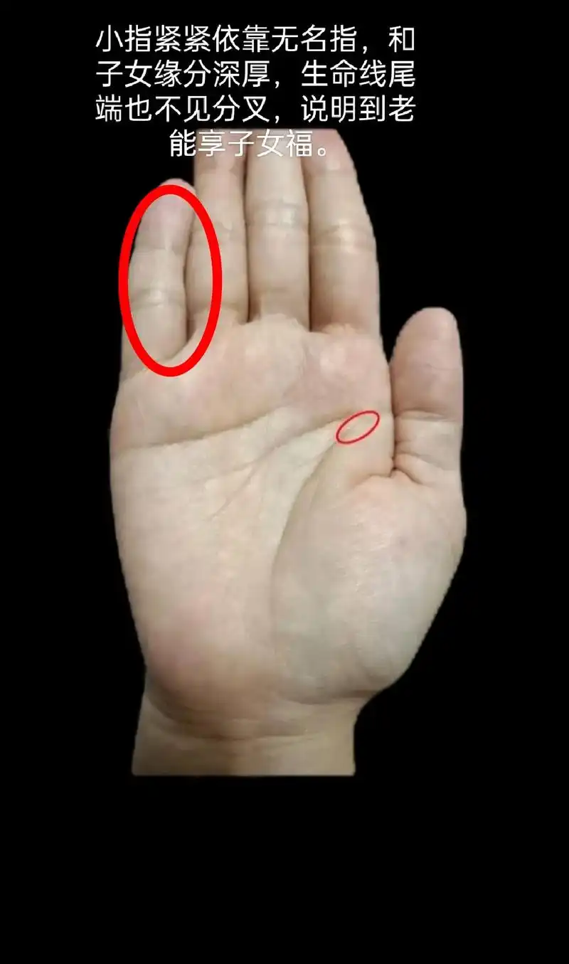 手相分析图文.手相分析 - 抖音