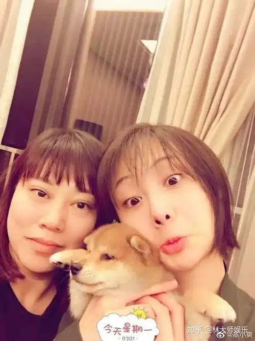 郑爽代孕风波后好友晒两人合照,剪短发圆润不少,抱狗狗嘟嘴卖萌