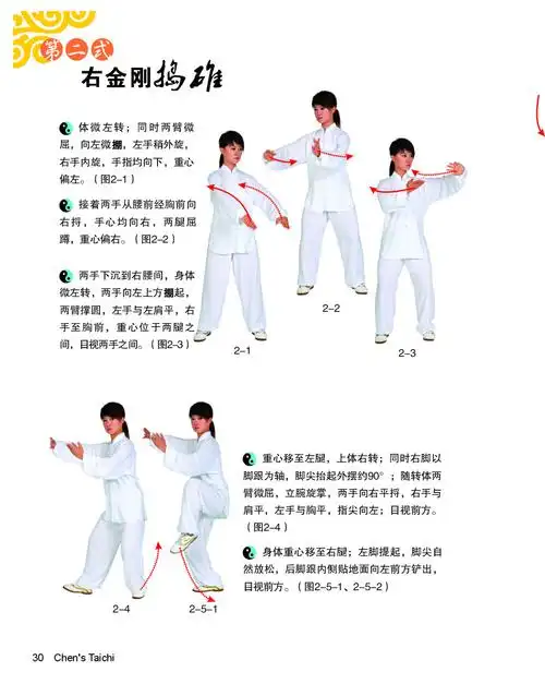 《陈式太极拳标准56式》马畅 著著【摘要 书评 在线阅读】-苏宁易购