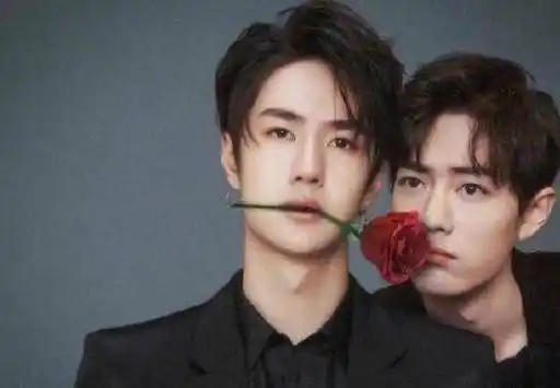 肖战粉丝触犯众怒肖战买单,鹿晗,马思纯,王一博,蔡徐坤躺枪_圈层_品牌