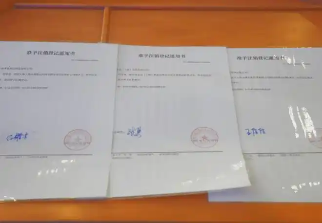 浦东简易注销登记服务跑出"引领区速度"|营业执照|若干规定|浦东新区