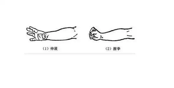 手指伸直握拳,背伸,掌屈,旋前,旋后,反复练习,各做10~20次.1.