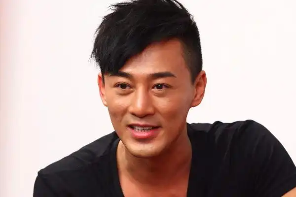 林峰的详细资料