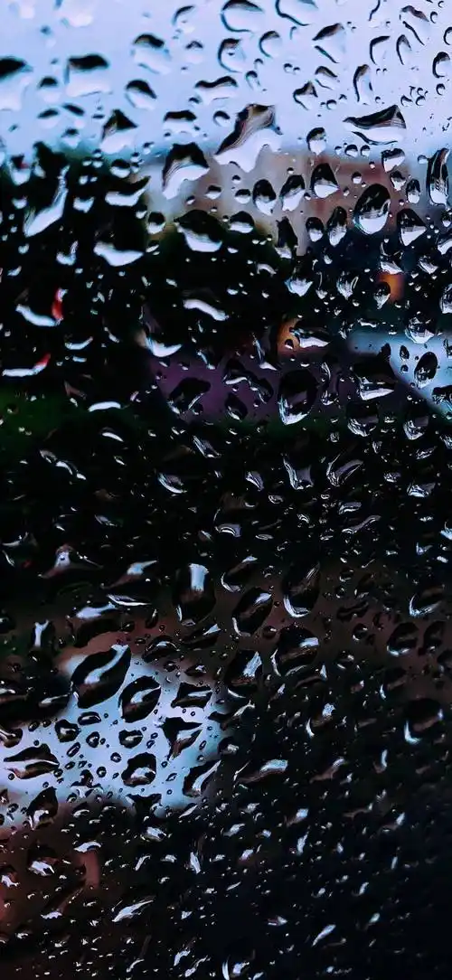 壁纸全面屏壁纸