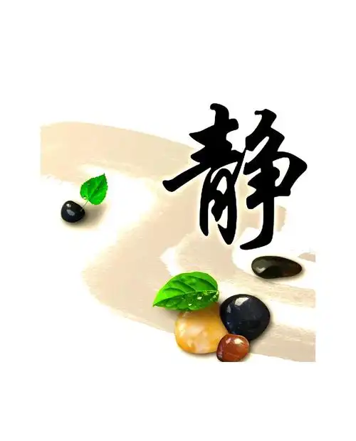 觉悟"静"字:智慧与养生的哲学之道