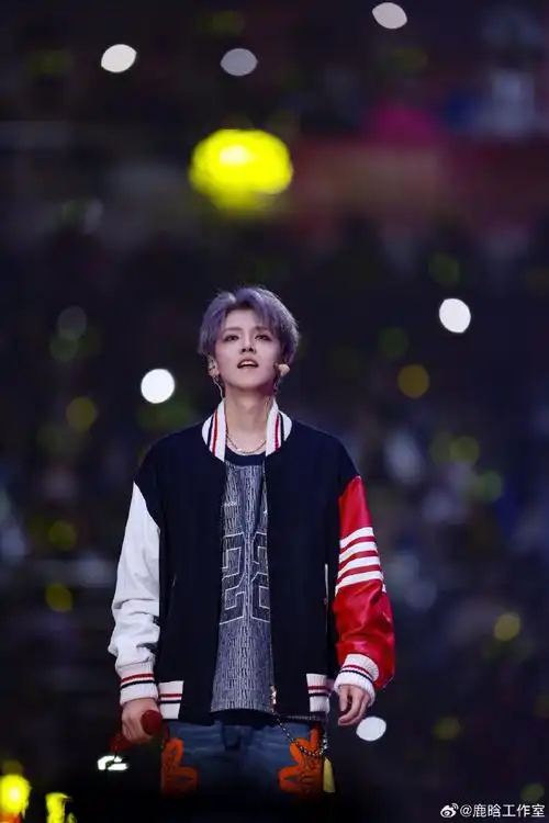 鹿晗三巡演唱会版勋章##鹿晗勋章来了