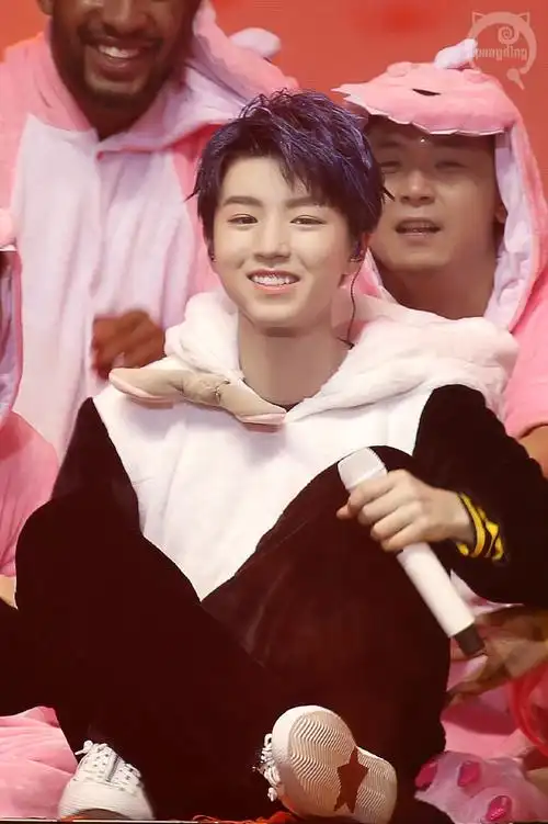 tfboys-王俊凯  cr.  logo  回望