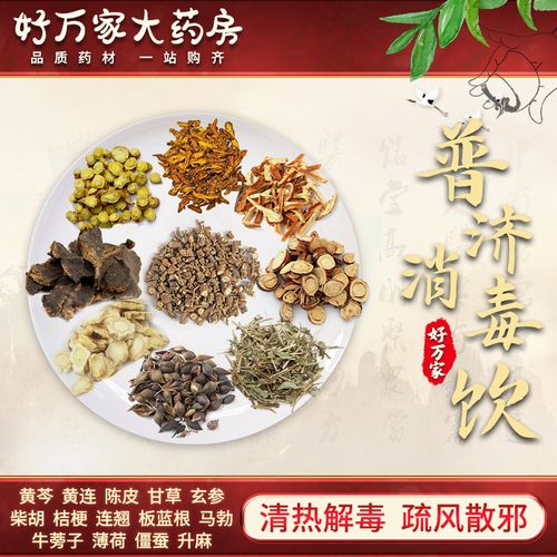 普济消毒饮 东垣试效方 疏风散邪清热解毒中医经典方 大药房按方抓药