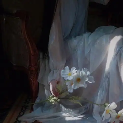 女头素唯美清冷